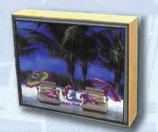 Beach Chairs
