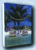 Beach Chairs