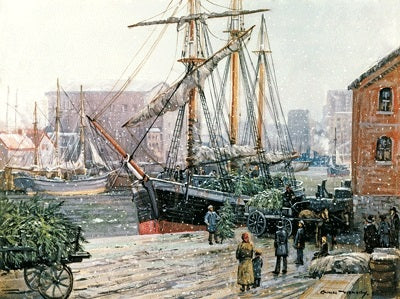 Christmas Tree Schooner