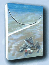 Shell Gathering