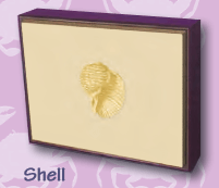 Shell