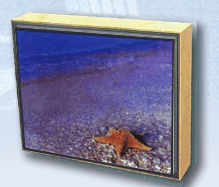 Starfish