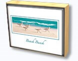 Beach Bunch