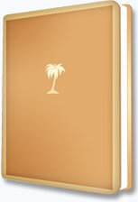 Palm Tree