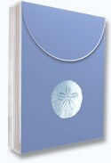 Sand Dollar